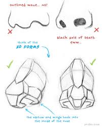 Some fun facts before starting sketching! Stan Prokopenko On Twitter The Septum And Wings Hook Into The Inside Of The Nose That S Important To Avoid Drawing A Cartoony Nose