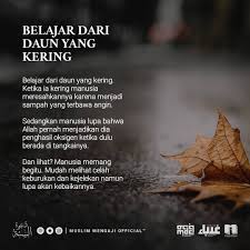 Muslim Mengaji Official On Instagram Belajar Dari Daun Yang Kering Belajar Dari Daun Yang Kering Ketika I Belajar Kutipan Pelajaran Hidup Kata Kata Indah