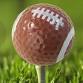 12th Annual Mini Golf Tournament event in Ansonia, CT