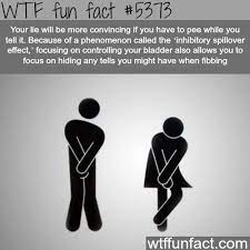 Visit once, u can see more funny joke pics here funny pictures, jokes and funny memes sharing website to make others laugh. Wtf Fun Factss Wtf Fun Facts Fun Facts Funny Facts