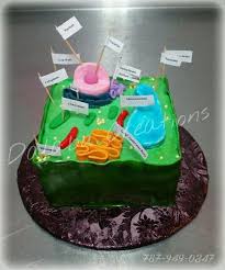 Maybe you would like to learn more about one of these? Plant Cell Diagram Cake Plant Cell Cake Cake Cell Diagram