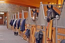 If building a barn is on your horizon, the first step is to make your wish list. Live The Equestrian Dream In Germany An Eventful Life