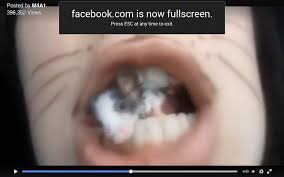 Horrible Russian Model Named Anastasiya Paints Face As Cat Bites The Head Off Live Mouse In Video Rodentclub Livejournal