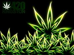 Cdot warning against impaired driving. Free Download 10 Awesomely High Happy 420 Weed Day Hd Wallpapers 736x552 For Your Desktop Mobile Tablet Explore 50 Stoner Days Wallpaper Trippy Stoner Wallpaper Stoner Wallpapers Hd Awesome Stoner Wallpaper