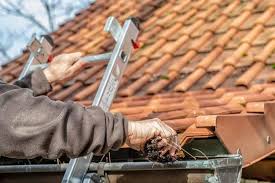 Une servitude de passage constitue un droit pour le propriétaire qui souhaite l'emprunter pour regagner son logement. Tout Savoir Sur Les Servitudes Droit De Passage Voisinage Terrain Enclave