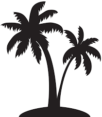 Palm tree png vectors (46). Cartoon Vector Palm Tree Png Novocom Top