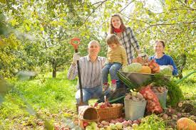 Creating a vegetable garden for your family is an excellent way to improve health, reduce your food expenses and enjoy a much wider variety of produce. Happy Family With Harvest In Vegetable Garden Stock Photo Picture And Royalty Free Image Image 20105631