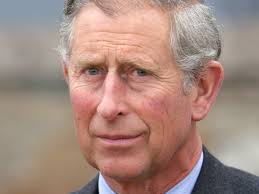 Rebel Prince by Tom Bower review