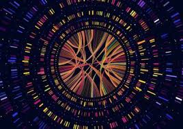 Lung cancer is a type of cancer that begins in the lungs. Most Comprehensive Analysis Of Cancer Genomes To Date The Scientist Magazine