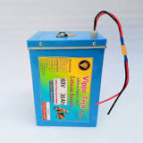 60v Lithium Ferrous Phosphate Battery, Model Name/Number ...