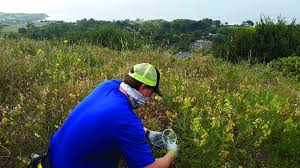 Restoring Land also Restores Our Well-being by Adrienne Mohan, Executive  Director of the Palos Verdes Peninsula Land Conservancy — Palos Verdes Pulse
