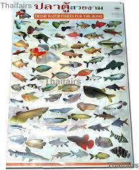 Amazon Com Fresh Water Fishs Poster Aquarium Fish Posters More Than 60 Breed Species Pet Supplies