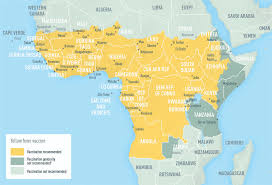 yellow fever maps