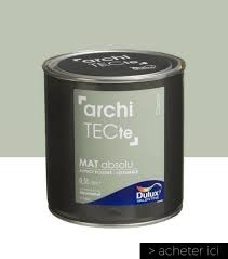 Comment Amenager Un Espace Salon Cuisine Coaching Deco Peinture Bleu Petrole Peinture Architecte Parement Mural
