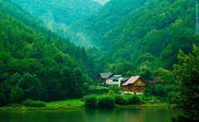 23 Nature Photos For Desktop Background Feel Free To Download All Of These Desktop Backgrou Green Nature Wallpaper Nature Wallpaper Desktop Background Nature
