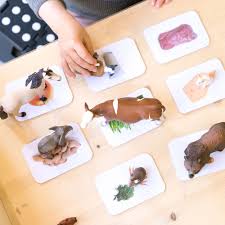 Druckvorlagen Was Tiere Fressen Chez Mama Poule Montessori Angebote Fur Kinder Spielideen Fur Kinder