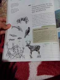 Esta es información que podemos entregar libro de ciencias naturales quinto grado contestado. Me Ayudan Con Este Cuadro Por Favor Si No Se Ve Bien Es La Pag 66 Del Libro De Ciencias Sexto Grado Brainly Lat