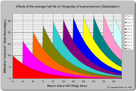 Question Half Life Total In System Addiction