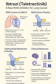 Image result for ROS1 Inhibitor