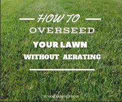 Aerate your lawn to allow better water and nutrient absorption. How To Overseed Lawn Without Aerating Sumo Gardener