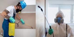 For the best pest control service in jacksonville, fl call turner pest control. Pest Control Jacksonville Fl Home Commercial Exterminator Bug Removal