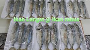 Cara nk buat ikan rebus homemade. Ikan Lengat Ikan Rebus Halalan Toyiban Cara Kukus Versi K Ani Youtube
