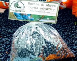 Sito www.ricettedigabri.it oggi vediamo come fare il liquore di #mirto fatto in casa. Ricetta Casalinga Del Liquore Di Mirto Sardo Tesori Sardi