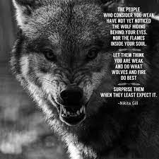 Juli 2020 ebenda) war ein italienischer komponist, dirigent und oscarpreisträger.er arbeitete auch unter den. 38 Warrior Quotes That Will Inspire You 4 Warrior Quotes Wolf Quotes Lone Wolf Quotes