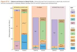 Image result for Hyperchloremia