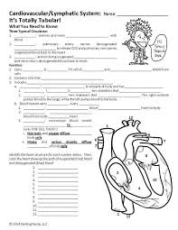 Circulatory And Lymphatic Systems Circulatory System Lymphatic System Biology Lessons