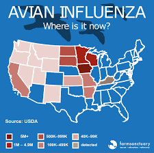 What You Need To Know About Avian Influenza And Factory