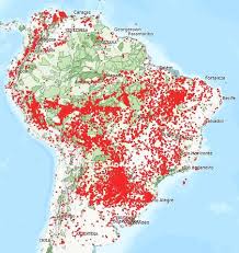 Ein twitter user schreibt, dass der amazonas regenwald 20% des weltweiten sauerstoffs liefert. Waldbrande Im Amazonas Regenwald Klimawandel