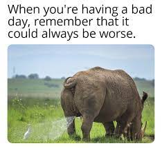 A Really Bad Day Meme By Elshono Memedroid