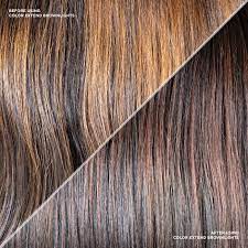 Before And After Blue Shampoo Brunette Hair Brassy Hair Redken Color Extend