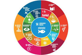 The sdg academy creates and curates free massive open online courses and educational materials on sustainable development and the sustainable development goals. Beziehungen Der Sdg Fona