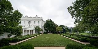 Maybe you would like to learn more about one of these? The Full Story Behind The Controversial Rose Garden Redesign Architectural Digest
