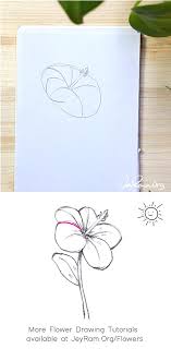 Floral decorative graphic with pink watercolor flowers. How To Draw A Hibiscus Step By Step For Beginners Jeyram Art