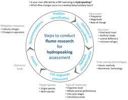 Peter paul jaukkuri charges : Sustainability Free Full Text Habitat Enhancement Solutions For Iberian Cyprinids Affected By Hydropeaking Insights From Flume Research Html