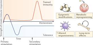 We did not find results for: Defining Trained Immunity And Its Role In Health And Disease Nature Reviews Immunology