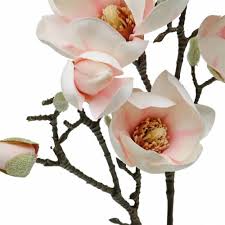 Check spelling or type a new query. Magnolia Branch Pink Artificial Magnolia Silk Flowers 11910 Buy Online