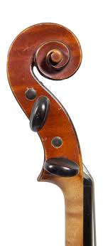 gand violin - The Best International Exporter of Fresh Indian Grapes and  Produce ! ]