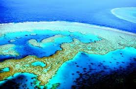Coral Reef The Shape Of The Land Forces And Changes Spotlight On Famous Forms For More Information