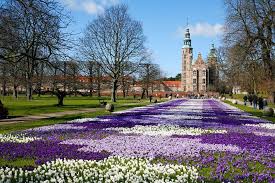 Nyheter video lag terminliste resultater billetter og sesongkort lerkendal stadion om rbk. 4 Hour Private City Walking Tour Including Rosenborg Castle 2021 Copenhagen