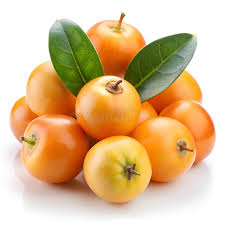 Image result for Ximenia