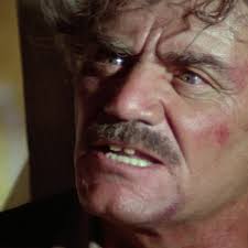 I am the law. Don't you understand, I represent the law. Well piss