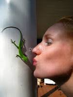 Stock Image Search Results