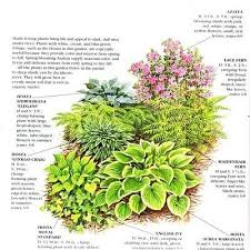 Shade Garden Shade Landscaping Shade Garden Shade Garden Plants