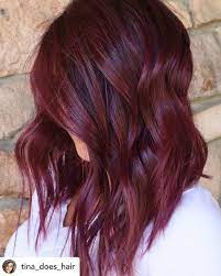 10 Ultra Cool Shades Of Winter Hair Color 2021 Ultimate Guide Wine Red Hair Winter Hair Color Magenta Hair