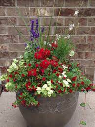 Hydrangeas turn blue in acid soil and pink in alkaline soil. Red White And Blue Planter Container Flowers Flower Pots Blue Flowers Garden