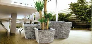 Maybe you would like to learn more about one of these? Flower Pots Cyprus Petraland